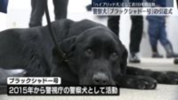 「ハイブリッド犬」として約10年間の活動終え…警察犬の引退式