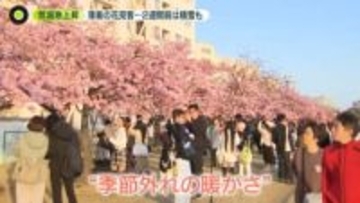 東京都内で2月に「夏日」観測史上初“季節外れの暖かさ”にかき氷店は行列　2週間前は積雪も