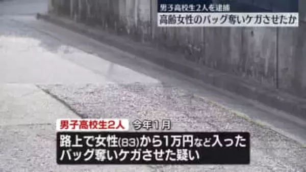 高齢女性からバッグ奪いケガさせたか　男子高校生2人逮捕　神奈川・藤沢市