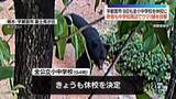 「クマの目撃相次ぐ宇都宮市、9日も全小中学校を休校に　昨夜も中学校周辺で1頭目撃」の画像1