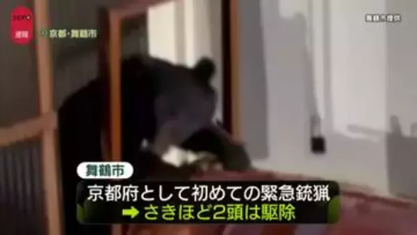 クマ2頭を駆除　京都で初の緊急銃猟　一時、民家の軒下に居座る