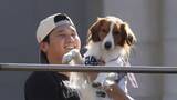 「大谷翔平の愛犬デコピンがナ・リーグの「最優秀犬」に　盾をもらって“ドヤ顔”と満足げな様子」の画像1