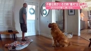 不審な男が家に侵入！その時“番犬”は　“まさかの行動”に飼い主も…米・カリフォルニア州【#世界のミダシ 】