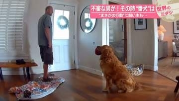 不審な男が家に侵入！その時“番犬”は　“まさかの行動”に飼い主も…米・カリフォルニア州【#世界のミダシ 】