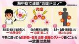 「【解説】熱中症で連鎖「炎症ドミノ」とは　専門家が警鐘、体温が下がってもダメージ続く危険性【 #みんなのギモン 】」の画像1