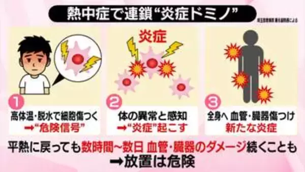 【解説】熱中症で連鎖「炎症ドミノ」とは　専門家が警鐘、体温が下がってもダメージ続く危険性【 #みんなのギモン 】