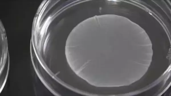 【速報】iPS細胞の再生医療製品　早期承認を了承　世界初の実用化へ　心不全とパーキンソン病の治療に期待