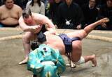 「【大相撲初場所】新大関・安青錦が11勝2敗で単独トップ守る　2場所連続優勝へ前進」の画像1
