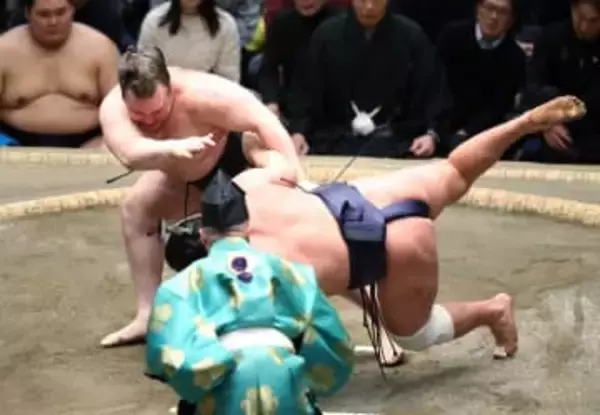 【大相撲初場所】新大関・安青錦が11勝2敗で単独トップ守る　2場所連続優勝へ前進