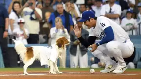 あの“名場面”から丸二年…MLB公式が懐かしむポスト　大谷翔平の愛犬・デコピンがスタジアムの注目を独り占め！