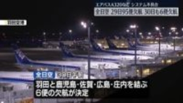 エアバス不具合　95便欠航の全日空、30日も6便が欠航