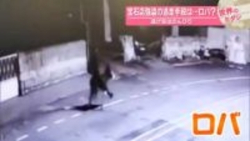 宝石店強盗の逃走手段は…ロバ？　逃げ足はのんびり　トルコ【 #世界のミダシ 】