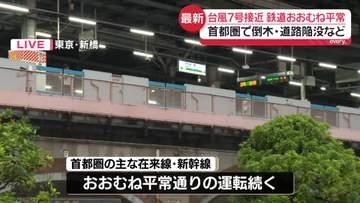 台風7号　首都圏の鉄道、おおむね平常通り　倒木や道路陥没など確認も