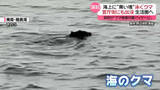 「神出鬼没…海上に“黒い塊”泳ぐクマ　政府の「クマ被害対策パッケージ」決定、自衛隊・警察OBにも協力要請」の画像1