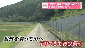 石川県でクマ“2度襲われた”男性重傷　東京都も対応見直しへ