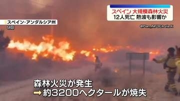 スペイン南部で大規模森林火災　少なくとも12人死亡　熱波も影響か