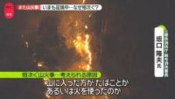 なぜ山火事相次ぐ「人為的な原因」を専門家が指摘　延焼続く日向山、乾燥注意報も
