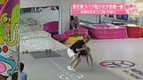 「宙舞うバク転少女が危機一髪…体操先生の“スゴ技”が救う　中国【 #世界のミダシ 】」の画像1