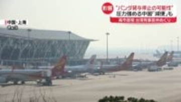 圧力強める中国　パンダ貸与停止の可能性、人気アニメ放送中止…日本行き航空券“強制キャンセル”も？