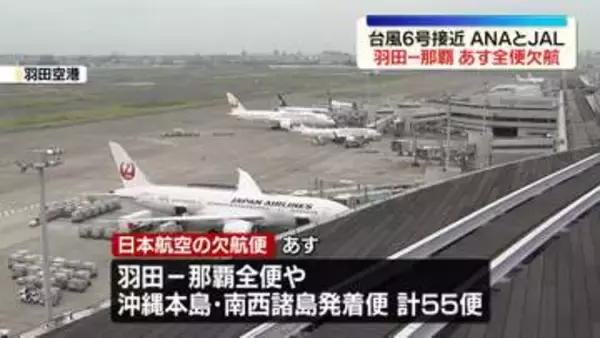 台風6号接近　JALとANA「羽田－那覇」1日は全便欠航