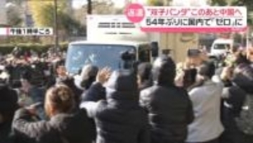 “双子パンダ”中国へ　54年ぶりに国内でゼロに…