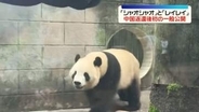 ことし1月に返還“双子パンダ”　中国で初の一般公開