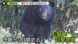 「警察官がクマに襲われケガ…近くに女性の遺体も　冬眠明け…各地でクマ目撃急増　“異常事態”専門家が指摘」の画像1
