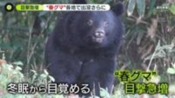警察官がクマに襲われケガ…近くに女性の遺体も　冬眠明け…各地でクマ目撃急増　“異常事態”専門家が指摘