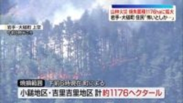 山林火災、焼失面積1176haに拡大　火柱上がる様子も　住民「怖いとしか…」　岩手・大槌町
