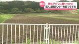 「男性がクマに襲われけが　田んぼ見回り中…秋田で今年初」の画像1