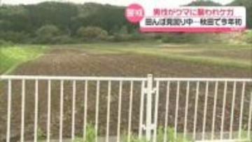 男性がクマに襲われけが　田んぼ見回り中…秋田で今年初