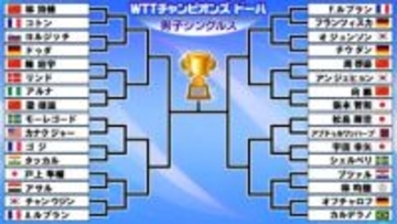 【卓球】男子ドロー　張本智和は初戦でいきなり中国の強豪と激突〈WTTチャンピオンズ ドーハ〉