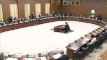 衆・憲法審査会「緊急事態条項」集中討議　各党の意見は