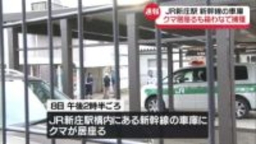 新幹線の車庫にクマ　箱わなで捕獲