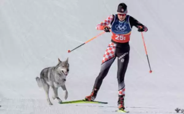 コース内乱入の“犬”がGoogle検索にも乱入か！？「オリンピック」と検索すると、、、