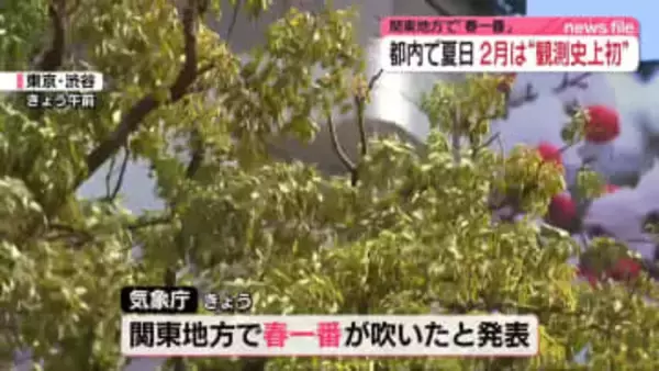 関東地方で2年ぶりの「春一番」　都内で“観測史上初” 2月に夏日