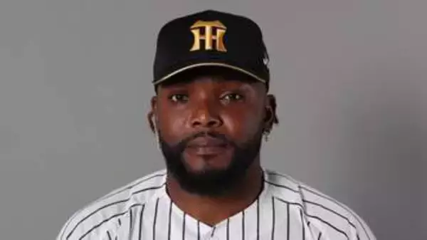 「【阪神】ドリスが2アウトから一打逆転のピンチ招くも…最少失点でしのぐ　2点リードのまま終盤へ」の画像