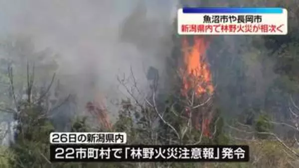 新潟　魚沼市と長岡市で林野火災　県内22市町村で「林野火災注意報」発令