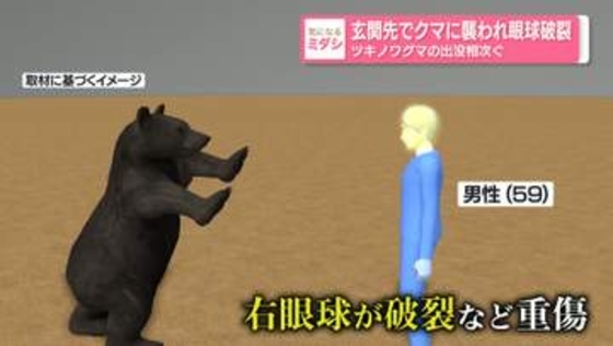 玄関先でクマに襲われ眼球破裂　ツキノワグマの出没相次ぐ　愛知・豊田市