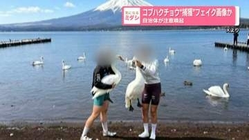 コブハクチョウ“捕獲”フェイク画像か　自治体が注意喚起