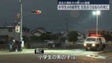 横断歩道で小学生が大型トラックにはねられ死亡　逃走していた運転手の男（50）を逮捕　島根・松江市