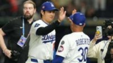 大谷翔平のお気に入りは？好きな食事？好きな音楽？好きな色？日本のあの球場がお気に入りと意外な回答も