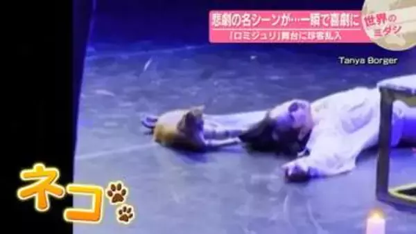 悲劇の名シーンが…一瞬で喜劇に　「ロミジュリ」舞台に珍客乱入　トルコ【 #世界のミダシ 】
