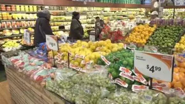 重い下痢続く…アメリカで寄生虫による感染症拡大　感染源はレタスやサラダ用の葉野菜の可能性　保健当局