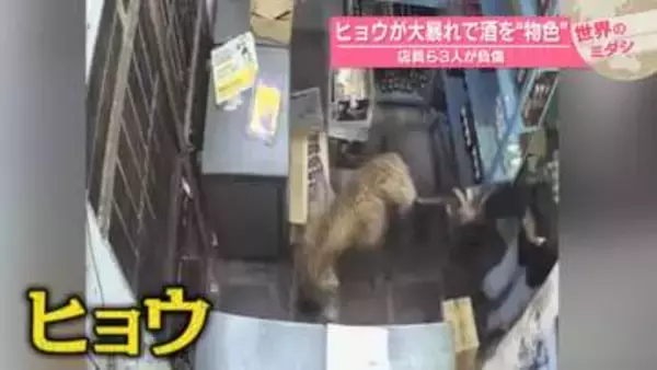 ヒョウが大暴れ…酒“物色”も　店員ら3人が負傷　インド【#世界のミダシ】