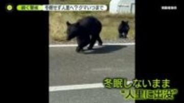 雪かき中の男性襲われ…冬本番もクマ出没　雪に「メリット」と「危険性」ハンターと専門家に聞く