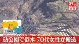 「公園の木が倒れ、歩いていた人が下敷きに　70代女性を救出　東京・世田谷区」の画像1