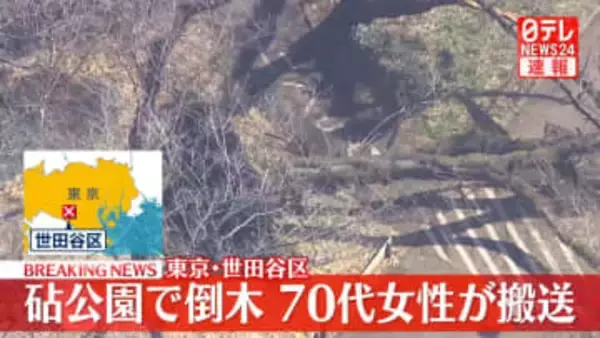 公園の木が倒れ、歩いていた人が下敷きに　70代女性を救出　東京・世田谷区