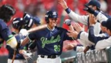 【ヤクルト】完封リレーで首位守る　阪神敗れ1.5差へ　投打躍動の山野太一が両リーグトップ4勝目　キハダはピンチをしのぎ9戦連続セーブ