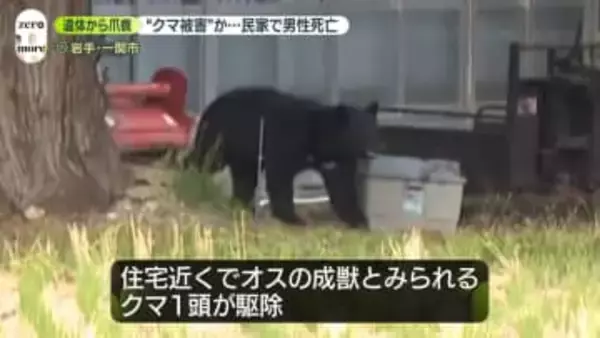 “クマ被害”か…民家敷地に男性（67）の遺体　近くでオスの成獣とみられるクマ1頭を駆除　岩手・一関市